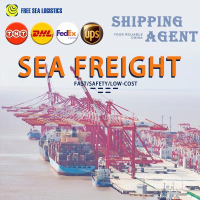 China LCL &FCL Shipping Freight Door to Door Double Clearance with Shenzhen to Manila OCEAN FREIGHT01 for sale