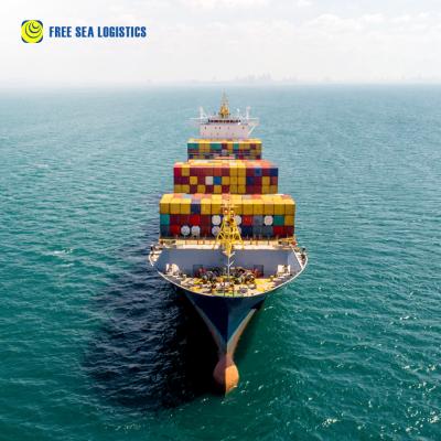 China shipping agent to Germany from China Shenzhen Guangzhou Shanghai Ningbo Tianjin Dalian Qingdao Xiamen Yiwu FREESEA1008002 for sale