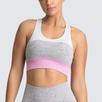 China Back-to-back color seamless knitting breathable sports underwear lady speed yoga vest running fitness bra lady for sale