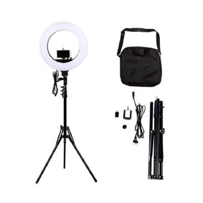 China 12INCH  Makeup 3200-5600K Photography 180 LED beads Selfie Portable Flash Camera Ring Light for sale