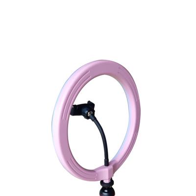 China Photographic Pink Flash Circular 10inch 10W Video Led Ring Light For makeup live stream à venda