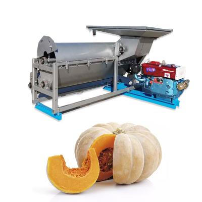 China Melon Melon Seeds Extractor Pumpkin Seeds Separating Machine for sale