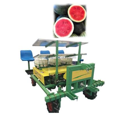 China Good Price Chili Farm Strawberry Transplanter Lettuce Transplanting Machine Vegetable Transplanting Machine Sale for sale