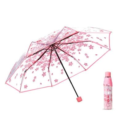 China Custom Wholesale Casual Transparent Cover Rainbow Umbrella Folds Cherry Blossom Transparent Umbr Logo 3 Umbrella Umbrella for sale