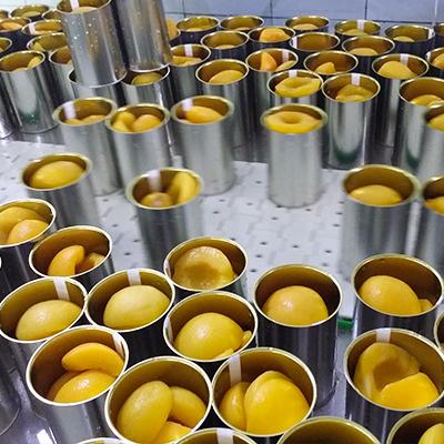 Verified China supplier - Dalian Zhenxin Canned Food Co., Ltd.