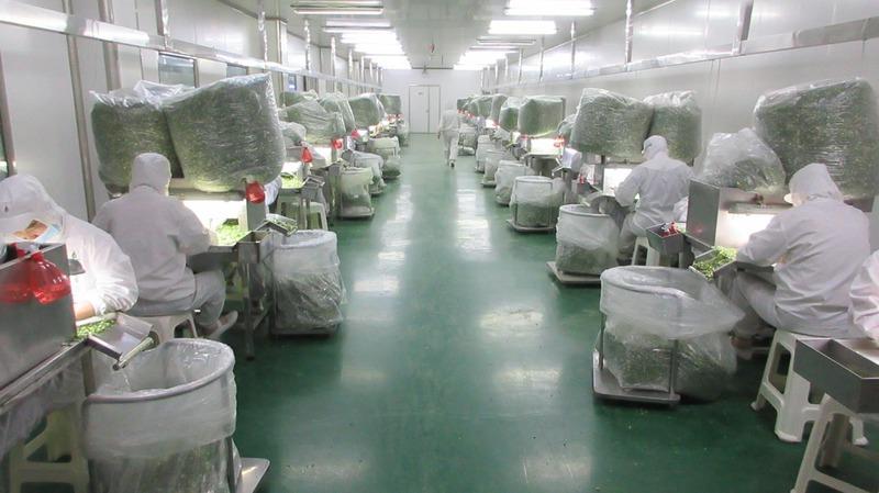 Verified China supplier - China Mark Foods Co., Ltd.