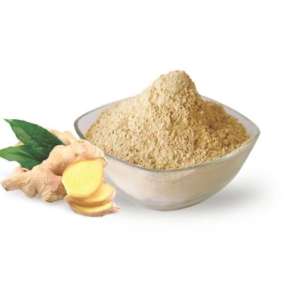 China Ginger Root Powder Dried Ginger Dry Dehydrated Powder for sale