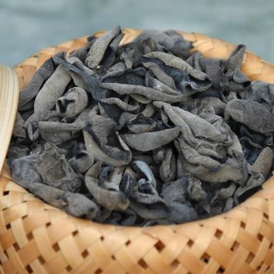 China Hot Selling Dried Popular Spices Dried Black Fungus 1.2-1.5cm from Dongbei Province of China for sale