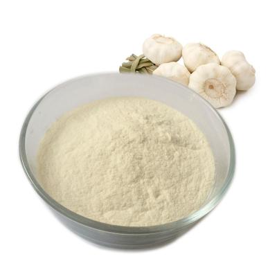 China Chinese factory supply new dry culture dried garlic powder for sale