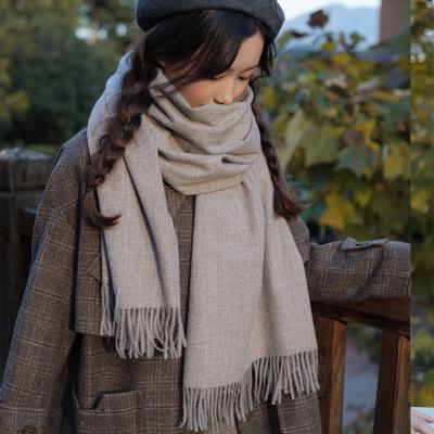 China European American Women's Warm Simple Winter Fashion Hot Selling Scarves And Shawls Scarf for sale