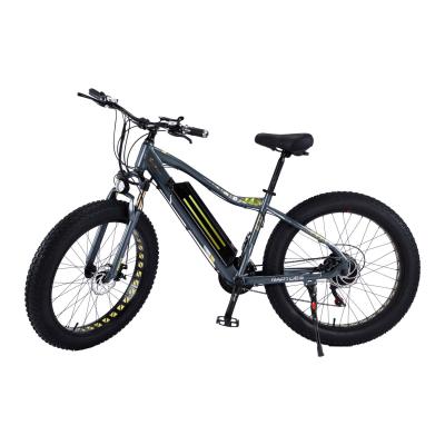 China Aluminum Alloy 27 Speed ​​Assisted Electric Bicycle 48V Lithium Battery Lithium Battery Mountain Bike Battery for sale