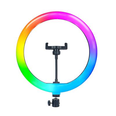 China ABS+metal Threaded 10 Inch Remote Control Selfie Ring Light Photography Makeup With RGB Pipe Camera Pipe Newcomer for sale