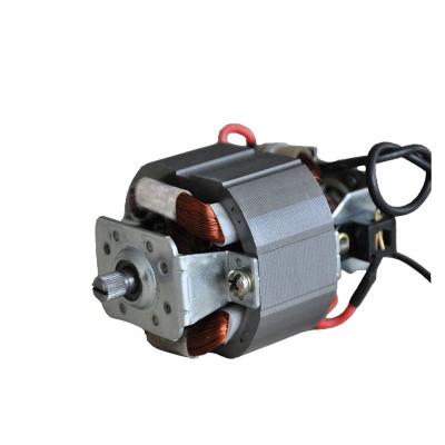 China AC 220V Micro Electric Motor HC5430 Totally Enclosed AC Universal Motor For Blender Meat Blender Grinder for sale