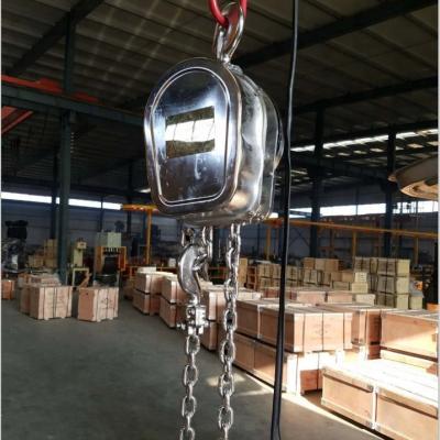 China Construction Hoist China SDH Model Stainless Steel Electric Chain Hoist 2 Ton for sale