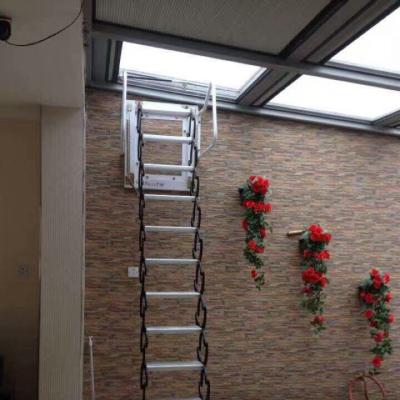 China Wall Mounted Folding Ladders Y-01-T Anti Slip Fold Ladder For Solarium for sale