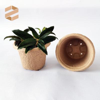 China Fruit Paper Pulp Flower Planting Pot, Sowing Pot for sale