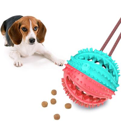 China Viable Interactive Pet Fun Toy Leaking Food Ball Dog Molar Bite Chew With Suction Cup TPR Rubber Dog Toy for sale