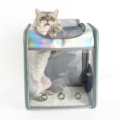 China B020 Sustainable Custom Pet Cages Carriers Houses Clear Backpack Carry Dog Pet Carrier For Cats Dogs Puppy for sale