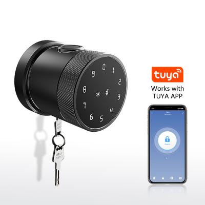 China Custom Aluminum Alloy Digital Fingerprint Wifi Wireless Electronic Door Lock With Tuya Smart Life APP for sale