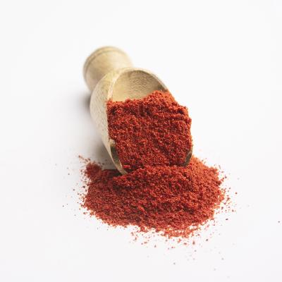 China Competitive Price Hot Spicy Fried Chicken Marinade Powder Dry Rub Spice for sale