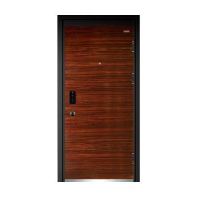 China Metal Door Newst Anti Thief Economy Anti Theft Security Door Design Galvanized Steel Door à venda