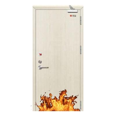 Китай BS Certificate Modern Steel Fire Proof Door 60 Min To 90 Min Steel Fire Rated Door продается