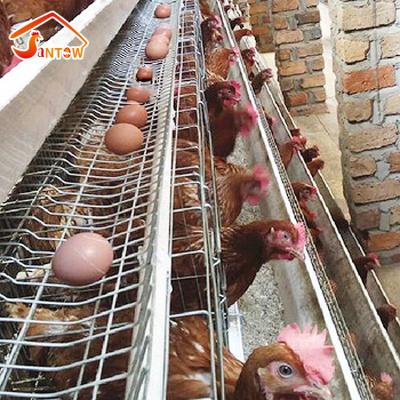 China Durable The Size Of Battery Cage Layers Poultry Hen Laying Egg Nest Chicken Cage Chicken House for sale