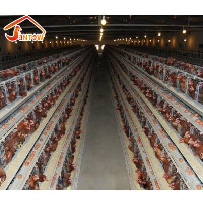 China Durable Chicken Cage Philippines Poultry Farm Layer Equipment Used Poultry Battery Cages For Sale for sale