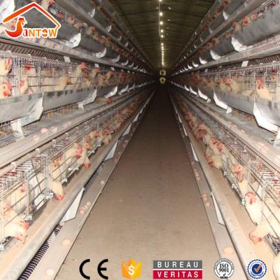 China Large Scale 20000 Layer Poultry Birds Layer Chicken Farm Cage Durable Design Cheap Price Layer Cage For Sale for sale