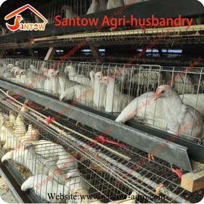 China Pakistan Libya Turkey Poultry Farm Layer Cage Chicken Layer Poultry Designs for sale