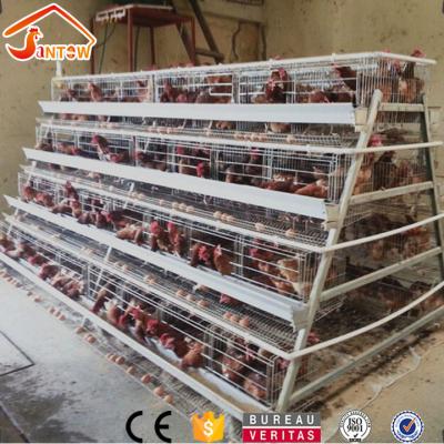 China Durable A Type Chicken Layer Cages 4 Tier Battery Cage 5 Cells 120 Birs Per Cage Poultry Farm for sale