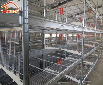 China Automatic Farms Poultry Farming Equipment Battery Chicken Layer Cage For Sale for sale