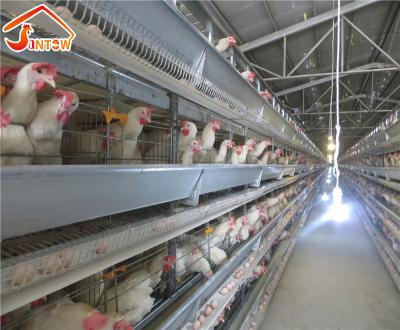 China Farms Poultry Farming Equipment Galvanized Automatic Layer Chicken Cage for sale