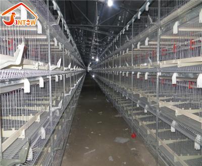 China Farms Ghana Farm Layer Cages Poultry Feeding Equipment One Frame Chicken Battery Cage Price In Agriculture for sale