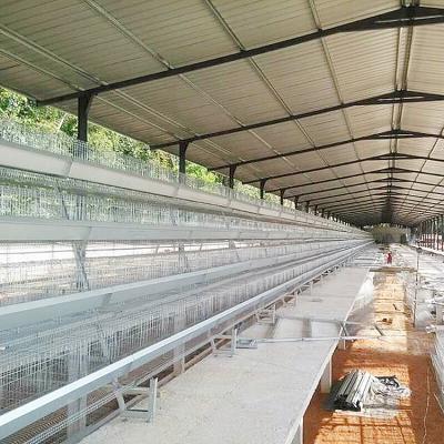 China Chicken poultry farming equipment one type layer chicken cage with automatic system for sale for sale