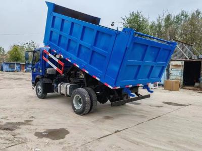 China Wly6t46 Transmission 120L Fuel Tanker Capacity 4X2 Tipper/Cargo Mini Truck for sale