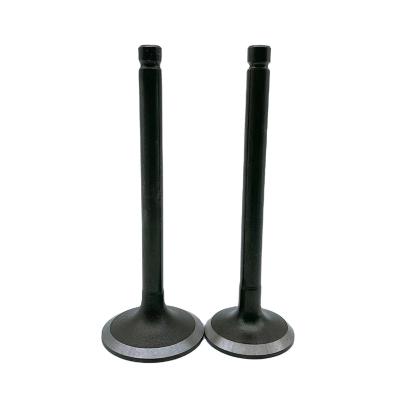 China Stainless Car Customize Factory Wholesale Price Z14/Z24-4 Direct Intake Intake Exhaust Engine Valve for sale