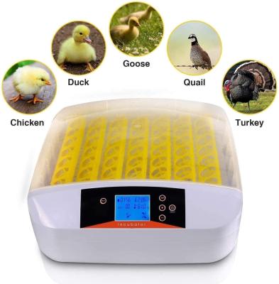 China Family Used 56 Eggs Mini Fully Automatic Hatcher Incubator for Duck and Birds Chicken Quail Hatcher Eggs for sale