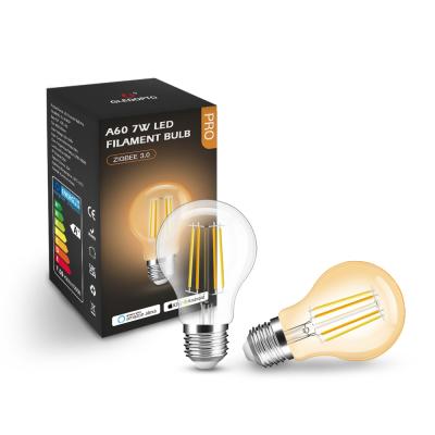 China Illumination and Retro Decoration Design GLEDOPTO Filament Bulb Work with Amazon Alexa Voice Control Dimmable A60 Bulb for sale