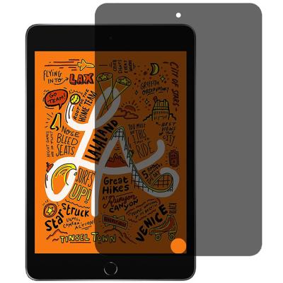 China Privacy Anti Spy Screen Protector for iPad 4th 5th Gen Air Mini Pro 2020 11 10.2 10.9 7.9 inch Privacy Tempered Glass for sale