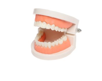 China Montessori Handy Practical Life Montessori Life Toys Denture Educational Teaching Aids for sale