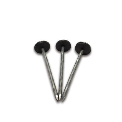 China Wholesale Flare Galvanized Cover Umbrella Head Nails/Steel Wire Iron Joint Polished Nail Joint Nail for sale