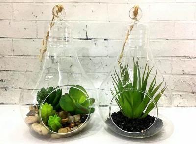 China Light Bulb Shape Terrarium Glass Flower Planters / Garden Ornament Clear Glass Planters for sale