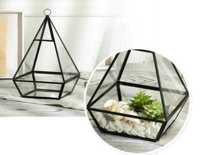 China Flower Plants Terrarium Decorative Glass Craft Black For Desktop Copper for sale