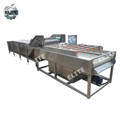 China Automatic Carrot Sweet Potato Washing Brush Cleaner Washing And Peeling Machine for sale