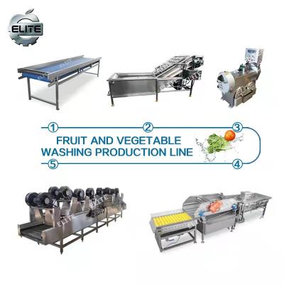 China food & Industrial Automatic Vegetable Beverage Factory Washing Machine Maker for sale