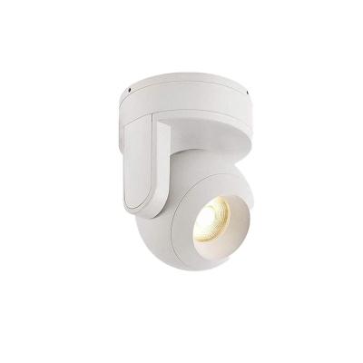 China Modern Customization 5W 7W Floodlight COB LED Outdoor Mounted Round Camera Downlight for sale