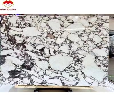 China Natural Italian Calacatta Viola Marble Slabs for Modern Kitchen Countertop and Indoor Wall for sale