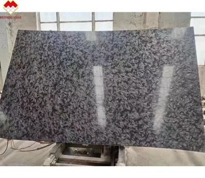 China Natural Brushed Leather Surface Matrix Versaceblack Classical Black Quartzite Countertop from Brazil for sale