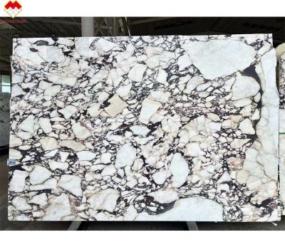 China Calacatta Viola Marble Slabs Timeless Italian Stone for Kitchen and Bathroom Projects for sale